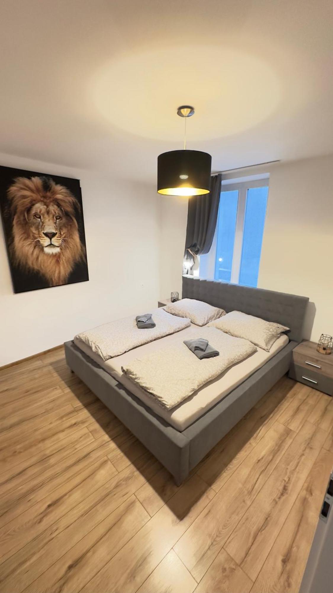 Apartman Vita Deluxe Trencin Exterior photo